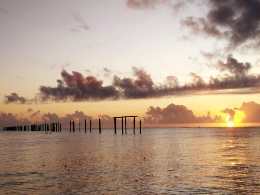 Canto Do Mar - Chales Com Vista Pro Mar - Cumuruxatiba Eksteriør bilde